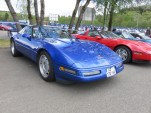 IMG 4708