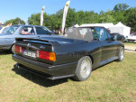 IMG 6251