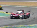 IMG 7825