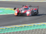 IMG 7443