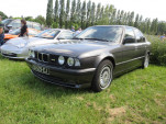 IMG 6929