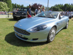 IMG 6951