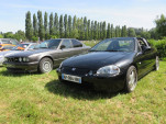 IMG 6977