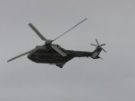 IMG 8687