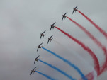 IMG 8588