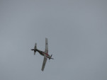 IMG 8568