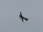 IMG 8691
