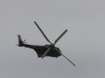 IMG 8683