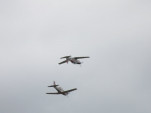 IMG 8557