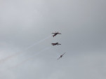 IMG 8518