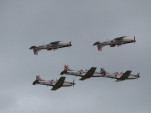 IMG 8572