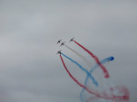 IMG 8603