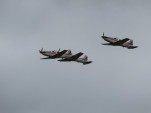 IMG 8570