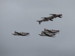 IMG 8571