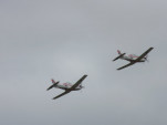 IMG 8553