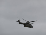 IMG 8682