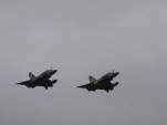 IMG 8653