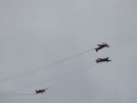 IMG 8520