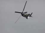 IMG 8686