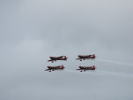 IMG 8528
