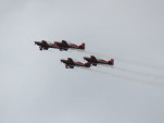 IMG 8529