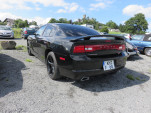 IMG 0229