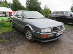 IMG 9956