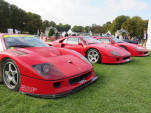 IMG 0986