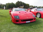IMG 0988