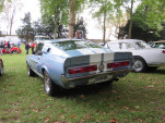 IMG 0703