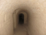 IMG 1905