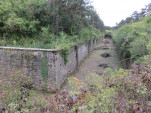 IMG 1919