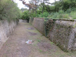 IMG 1918