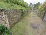IMG 1917