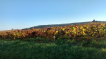 IMG 20171015 165826932 HDR