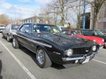 IMG 4117