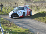 IMG 4818