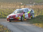 IMG 4981