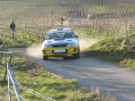 IMG 4871