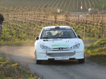 IMG 4971