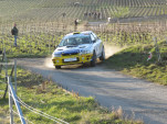 IMG 4870
