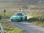 IMG 4855