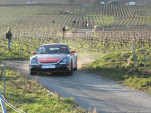 IMG 4864