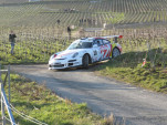 IMG 4849