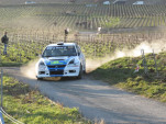 IMG 4875