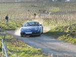 IMG 4866