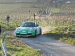 IMG 4856