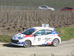 IMG 4489