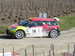 IMG 4423