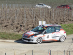 IMG 4564